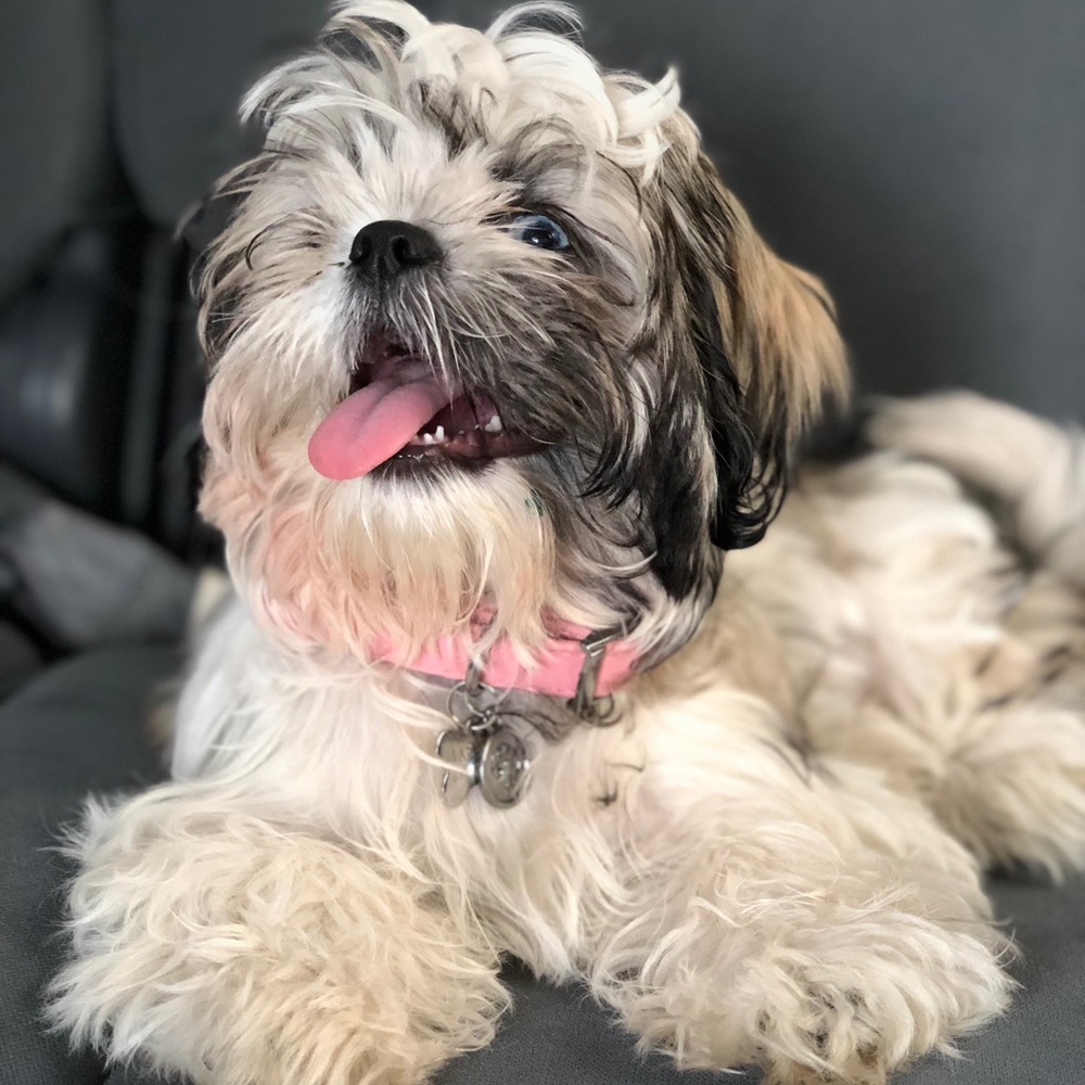 Meet your Posher, Yovana